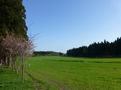 c0227720_21252017.jpg