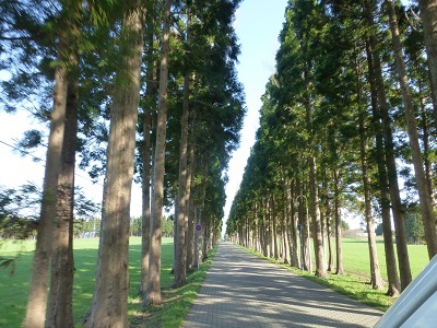 c0227720_21255803.jpg