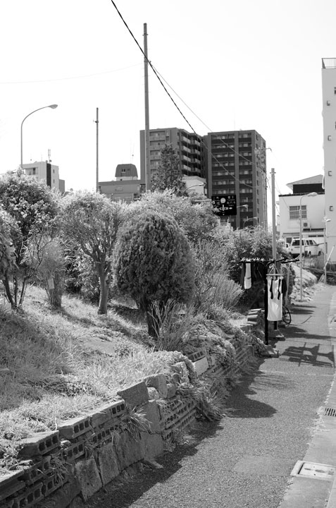 b0058021_21482985.jpg