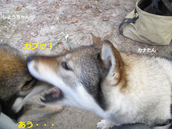 f0143123_09503521.jpg