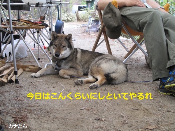 f0143123_09512042.jpg