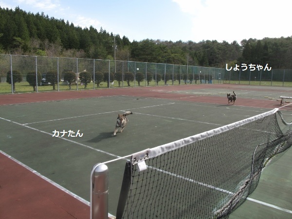 f0143123_09551632.jpg