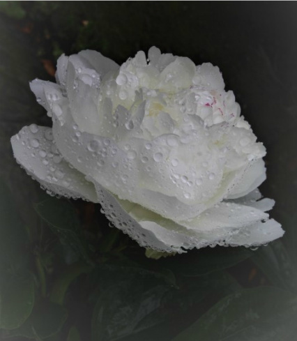 f0354923_22532973.jpg