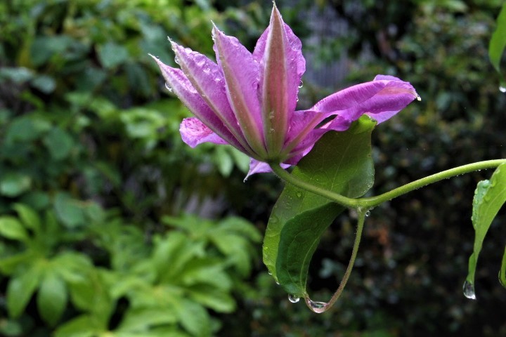 f0354923_23263993.jpg