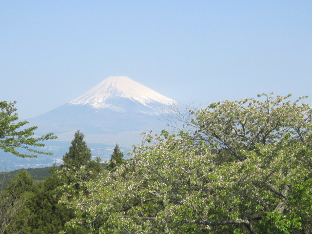 d0162225_22192010.jpg