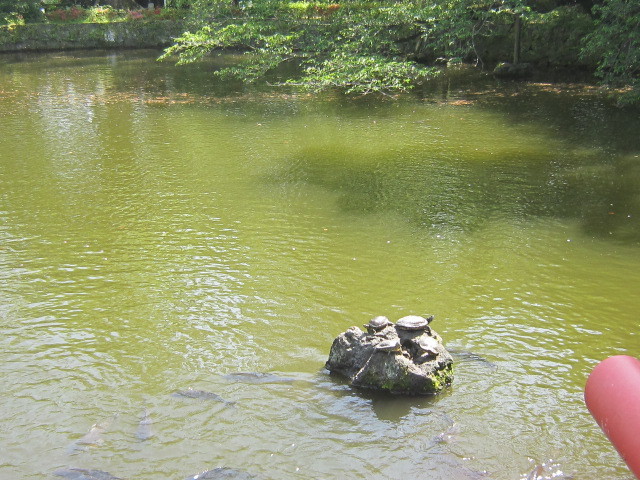 d0162225_22364561.jpg