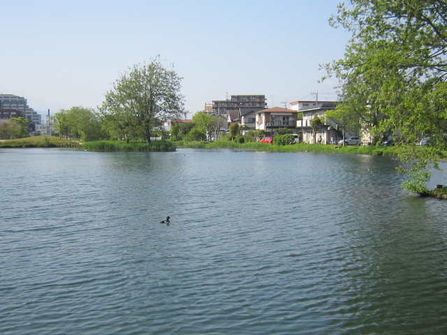 d0162225_22403750.jpg
