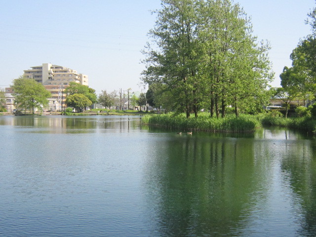 d0162225_22412004.jpg