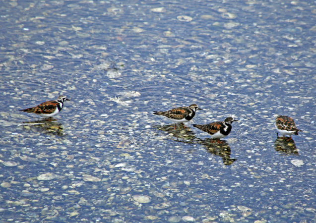 c0104227_16145074.jpg