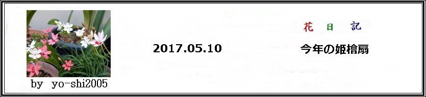 e0033229_18345691.jpg