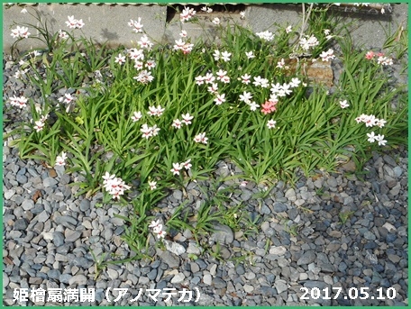 e0033229_18394588.jpg