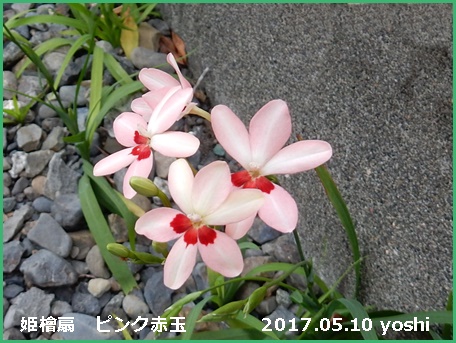 e0033229_18461866.jpg