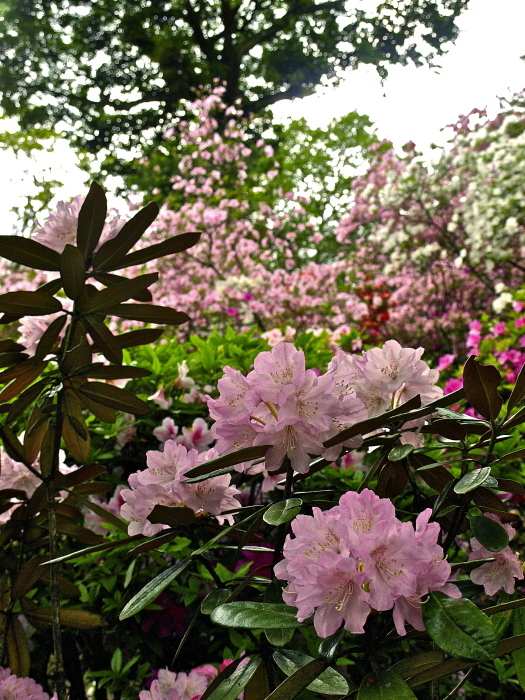 f0315034_15460602.jpg