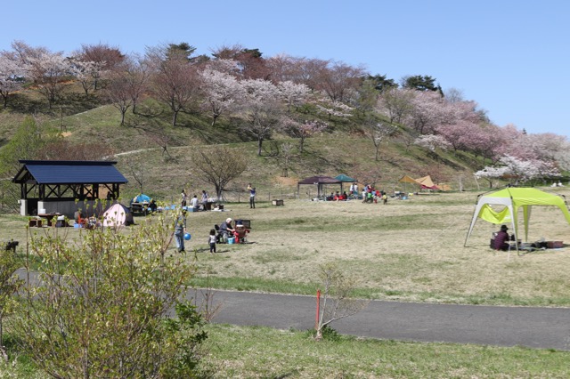 b0031538_22201534.jpg