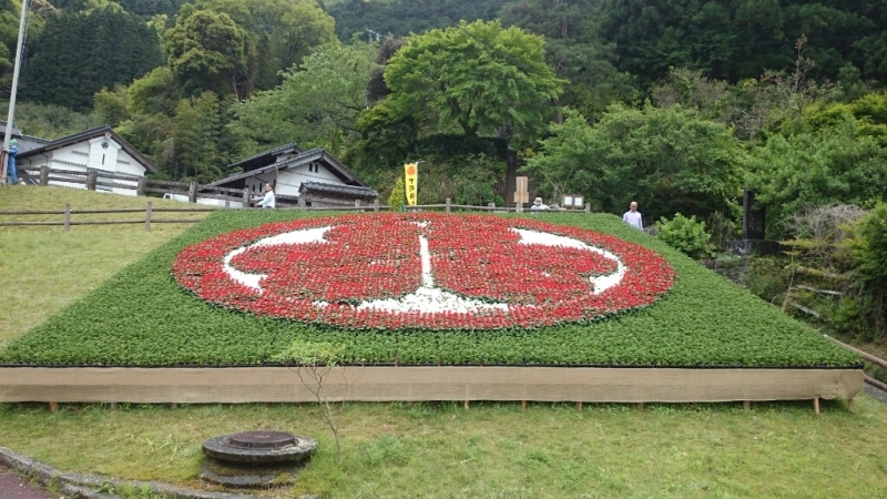 b0181542_11081840.jpg