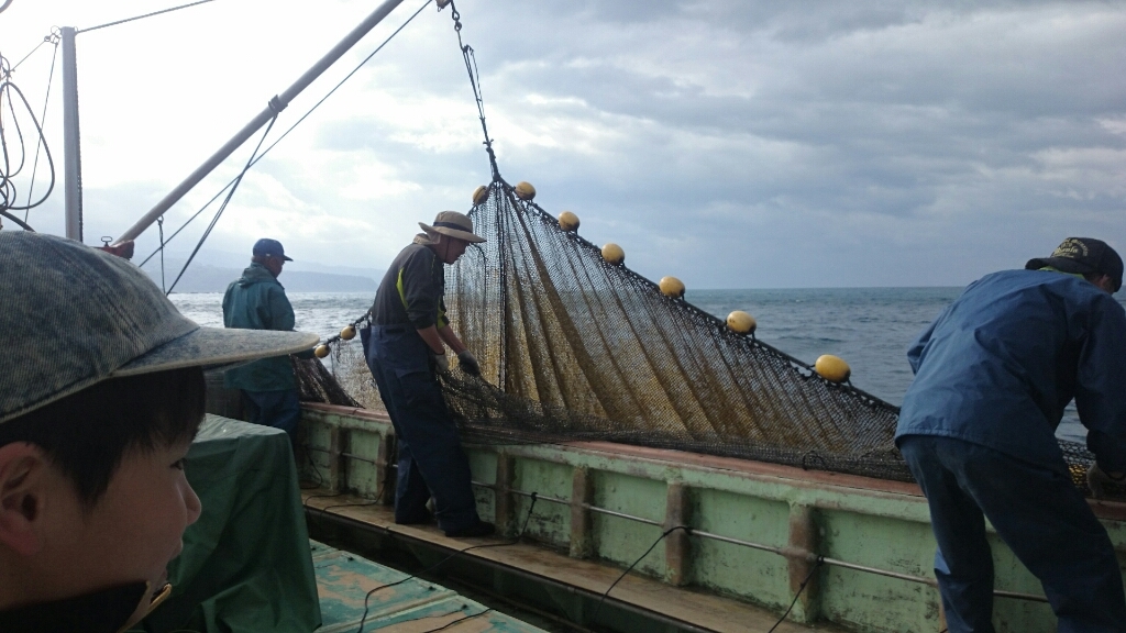 b0181542_11084560.jpg