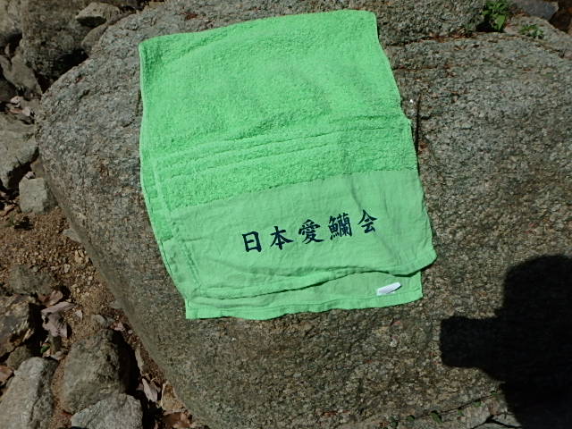 f0334143_12375218.jpg