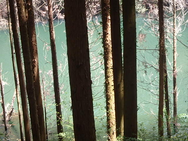 f0334143_1238372.jpg