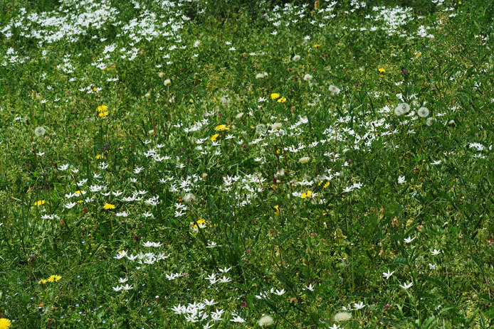 d0149245_23165053.jpg