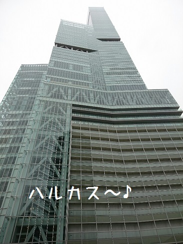 f0128146_19505079.jpg