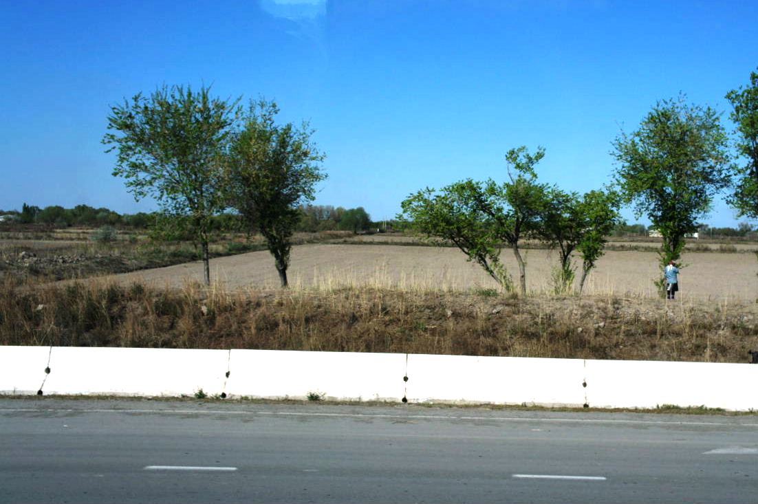 c0011649_23382523.jpg