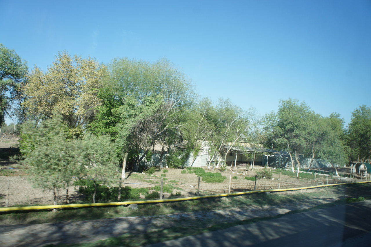 c0011649_23390551.jpg