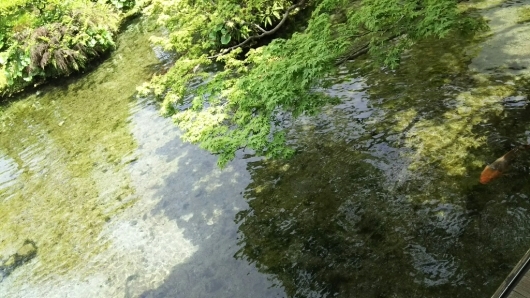 c0134850_22241973.jpg