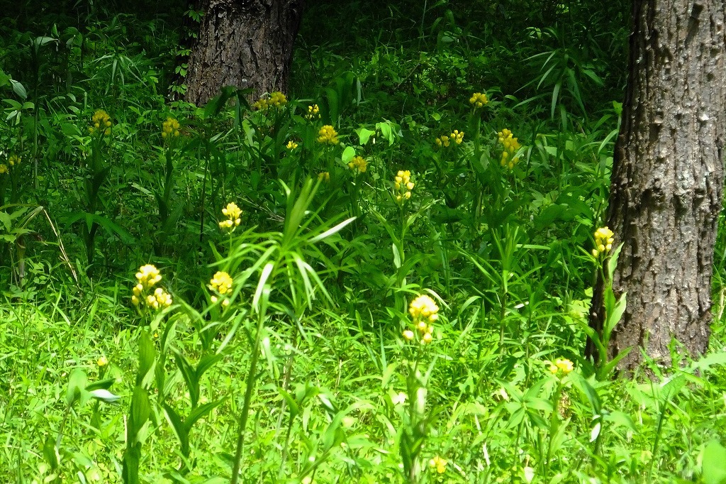 b0236251_08521250.jpg