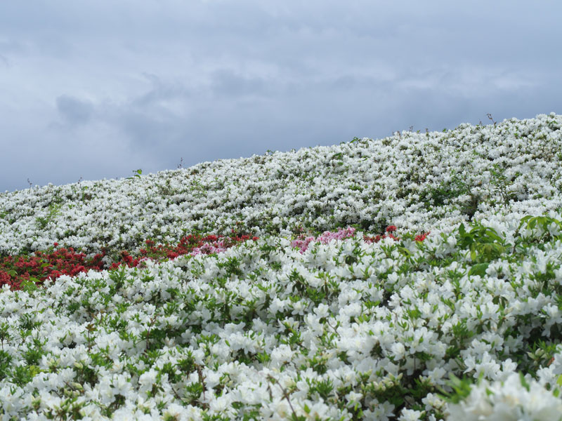 d0342652_123380.jpg