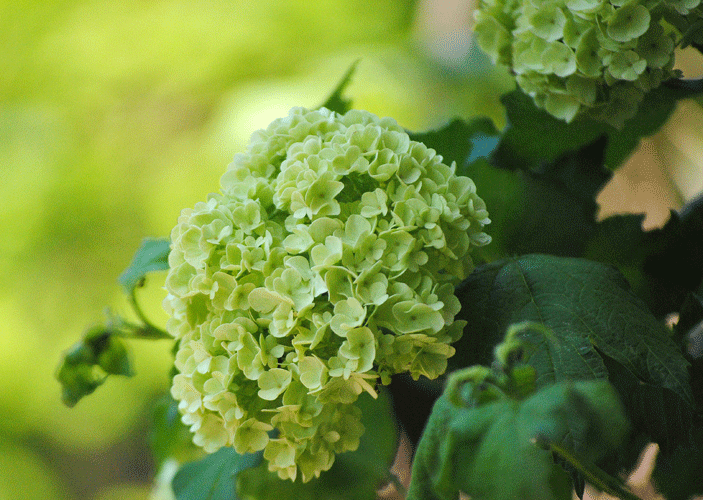 a0001354_23161289.gif