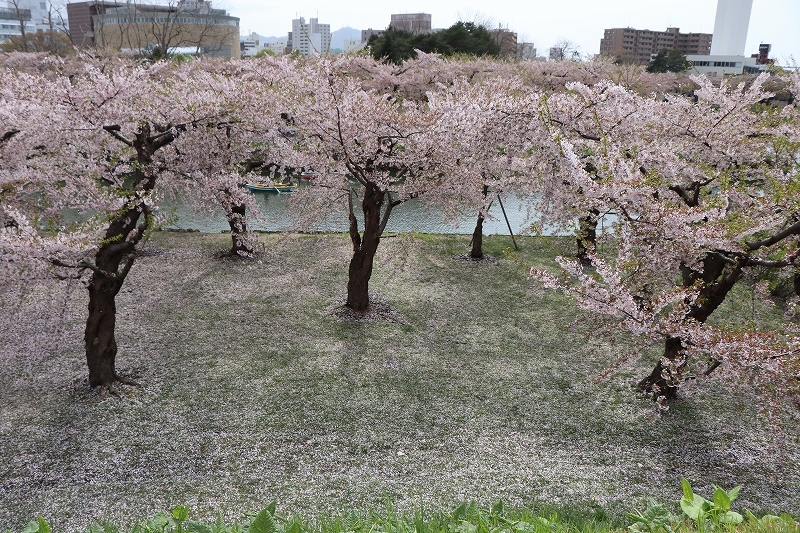 b0250154_20194602.jpg
