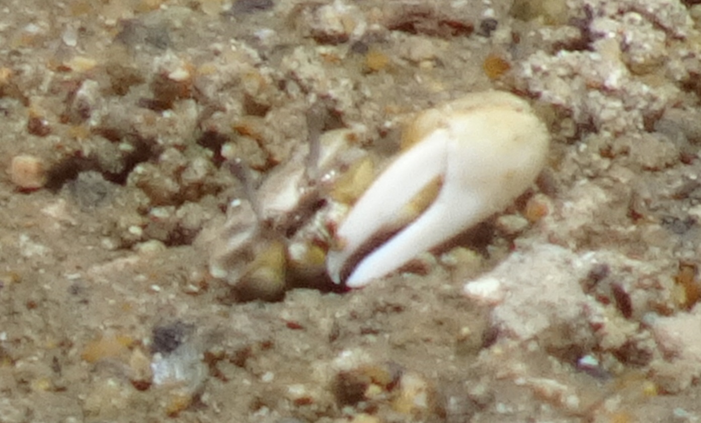 c0108460_21124604.jpg