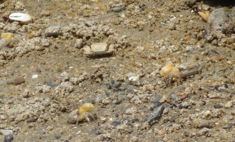 c0108460_21131694.jpg