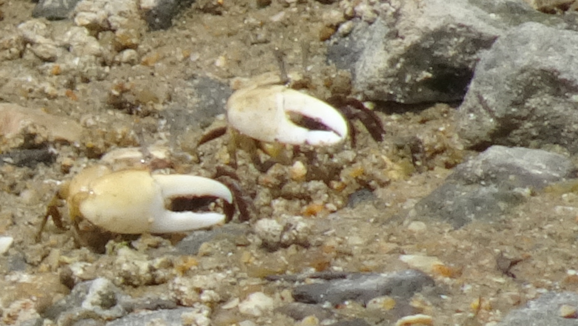 c0108460_21131892.jpg