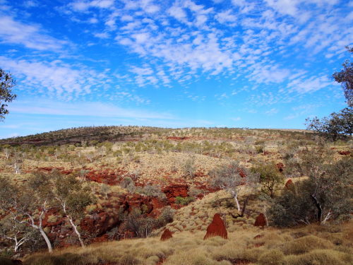 c0351060_22325294.jpg