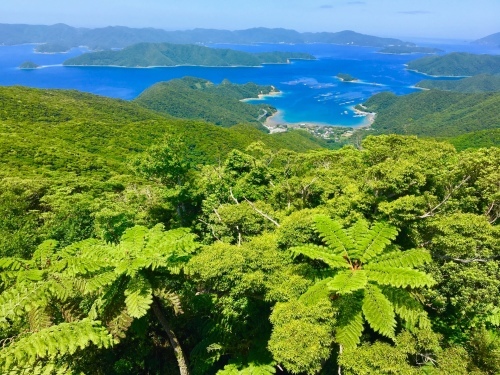 b0062363_17554538.jpg