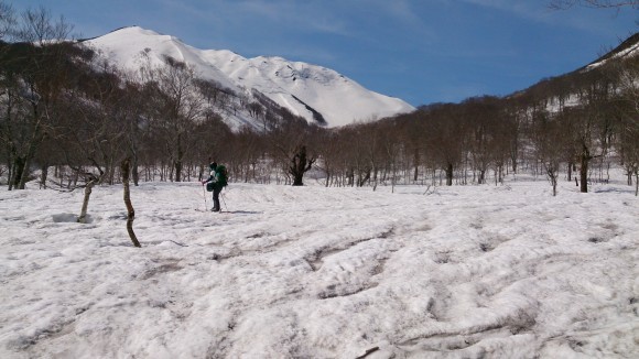 b0050067_23015082.jpg