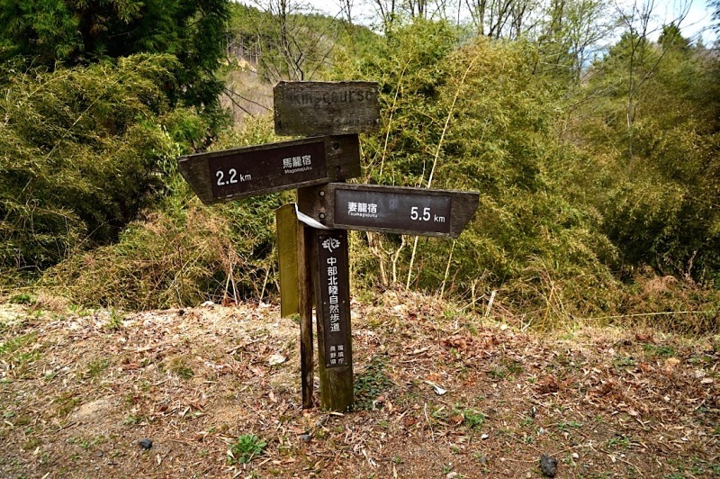 d0175768_16322953.jpg