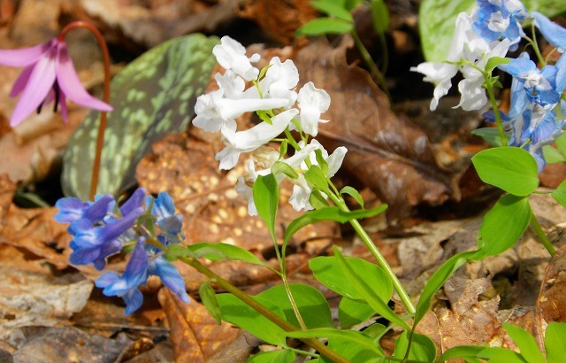 e0122168_23251832.jpg
