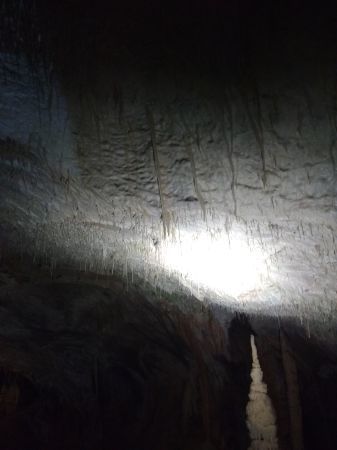 a0286469_01453498.jpg