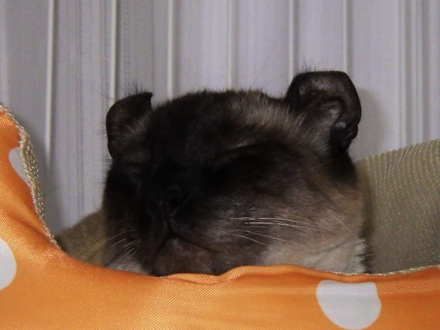 c0105569_00390574.jpg