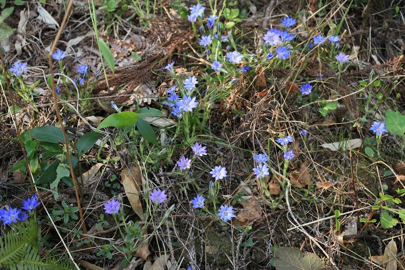 e0304170_22160528.jpg