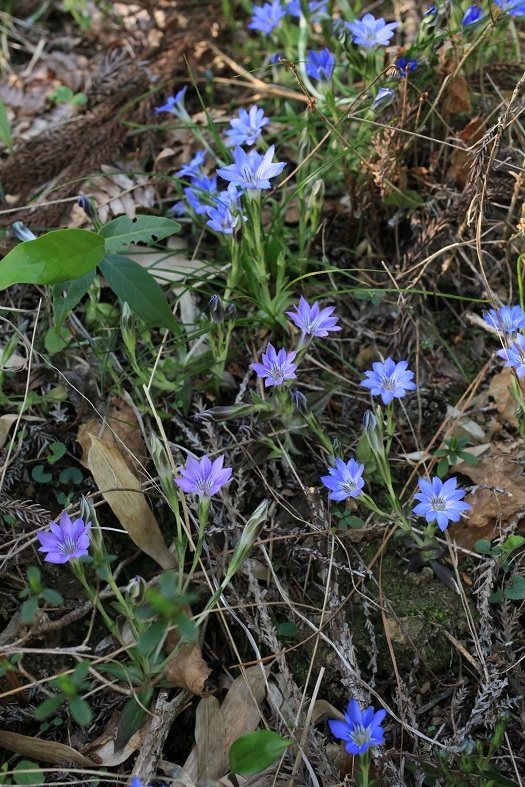 e0304170_22162705.jpg