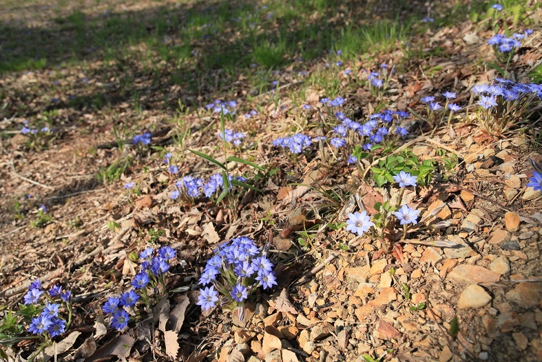 e0304170_22171073.jpg