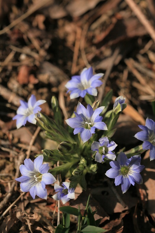 e0304170_22173954.jpg