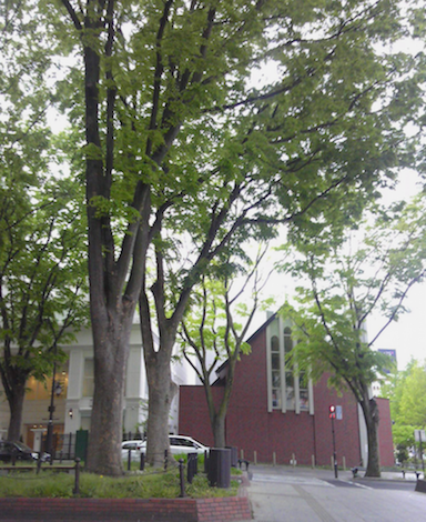 d0142773_23165601.png