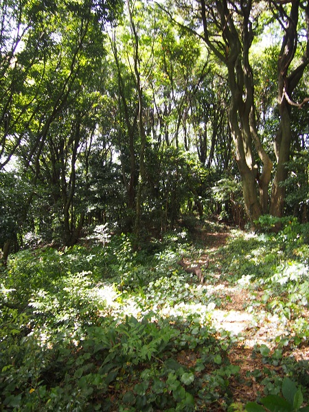 f0101679_225554.jpg