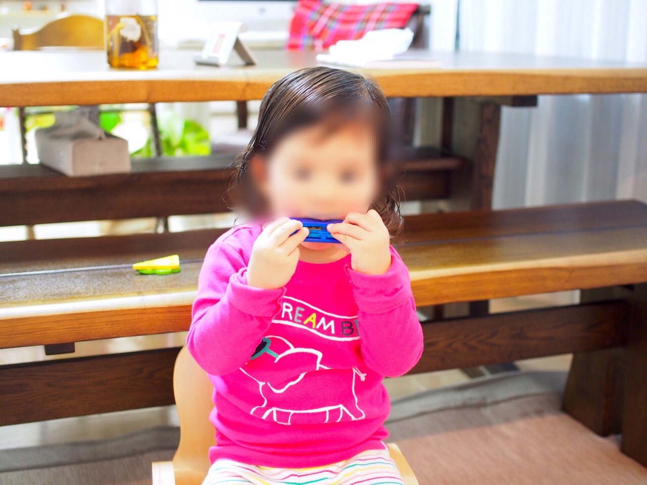 b0338982_16461867.jpg
