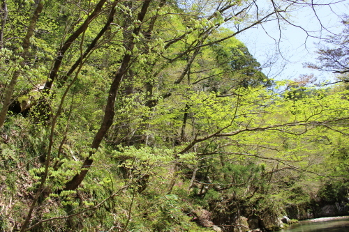 e0192884_11361204.jpg
