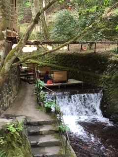 f0231785_16442841.jpg
